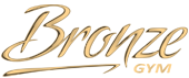 Спортивный тренажер Bronze Gym